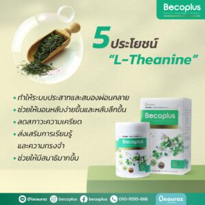Becoplus L-Theanine