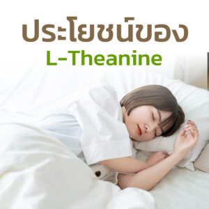 นอนหลับง่ายด้วย-L-Theanine